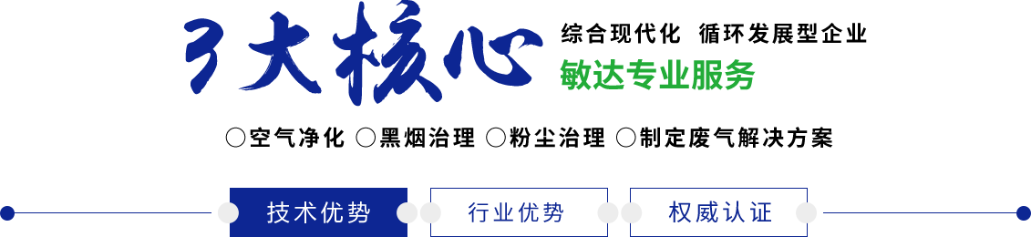 大鸡巴日了一晚上的骚B敏达环保科技（嘉兴）有限公司